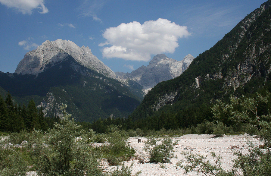 6591_Vallei bij Trenta, Triglav N.P..JPG